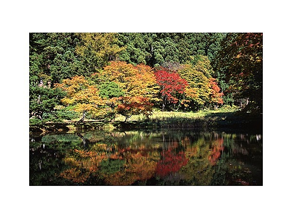 黒森山浄仙寺の紅葉