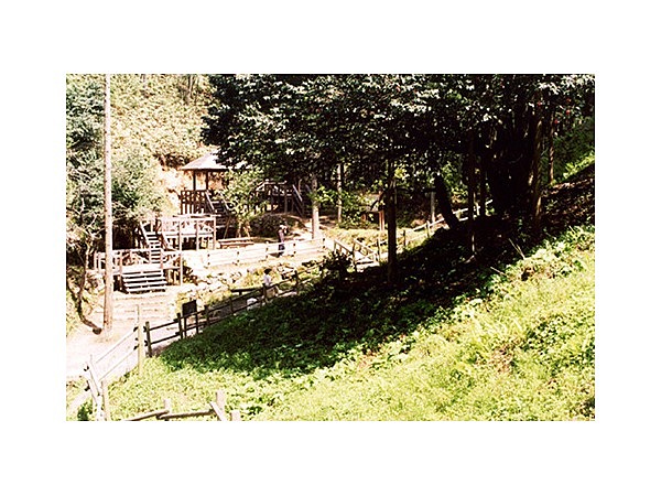 滝の千年ツバキ公園