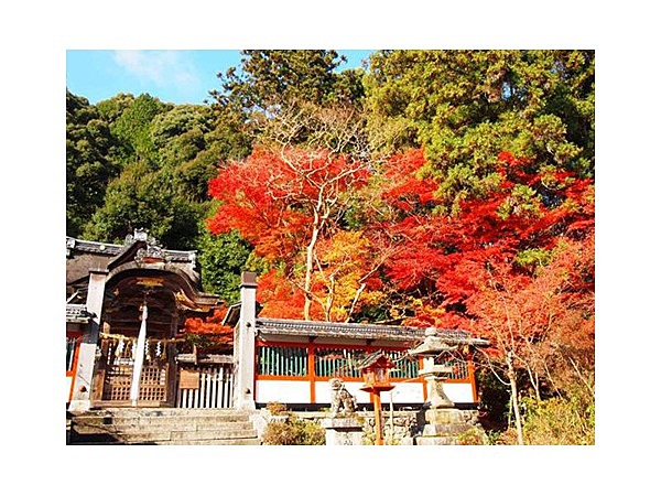 鍬山神社の紅葉