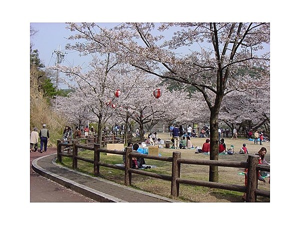 奥山雨山自然公園