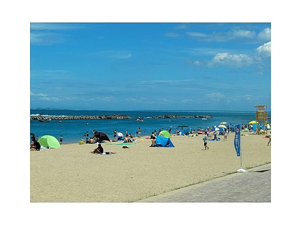 ぴちぴちビーチ(箱作海水浴場)