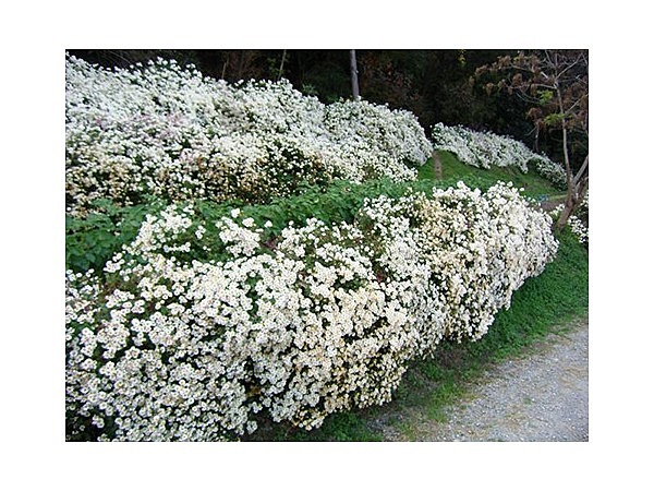 日笠山～牛谷ハイキングコース