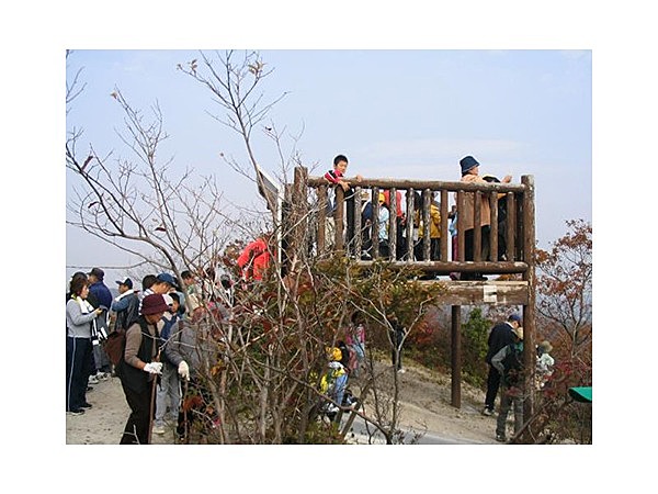 きすみの見晴らしの森