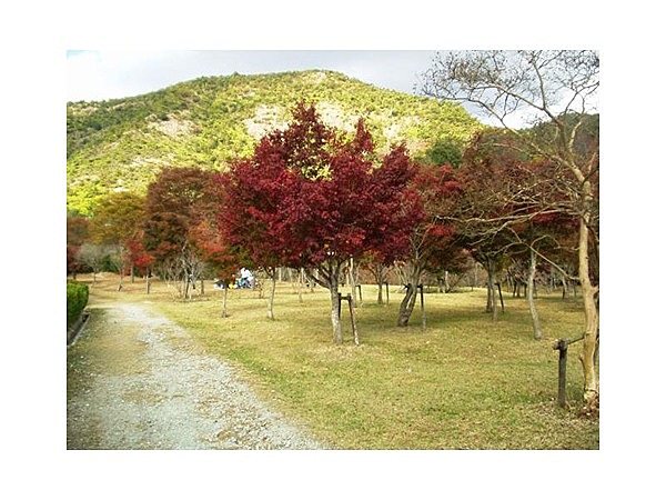 鹿島扇平自然公園