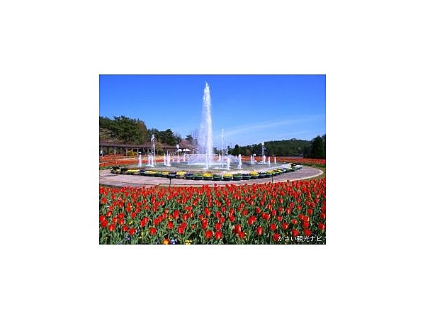 兵庫県立フラワーセンター