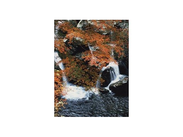 福知渓谷の紅葉