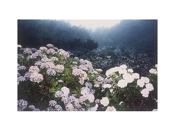 あわじ花の歳時記園