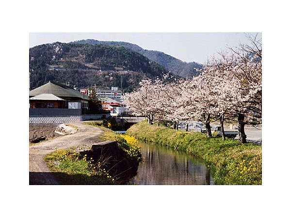 せせらぎ公園（兵庫県）
