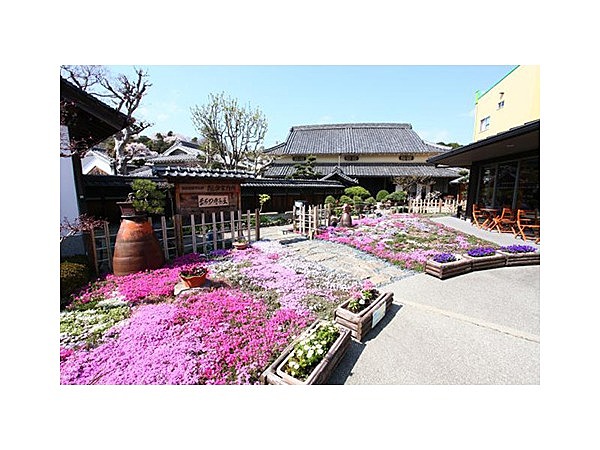 国登録有形文化財旧来住家住宅