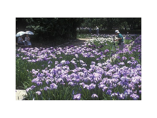 尼崎市農業公園