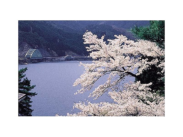 音水湖(引原ダム）