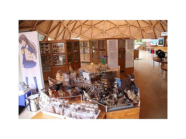 ひょうご環境体験館