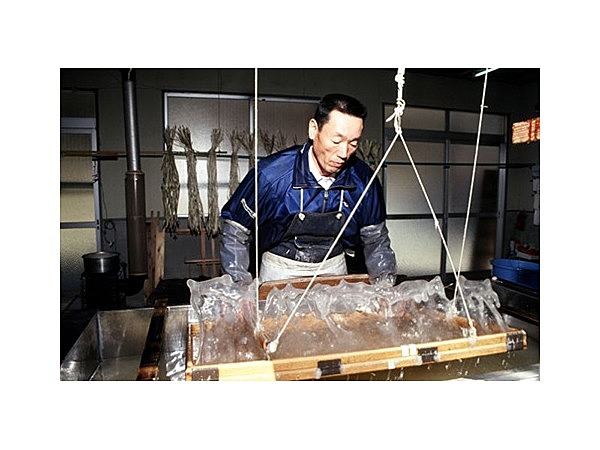 多可町立和紙博物館寿岳文庫