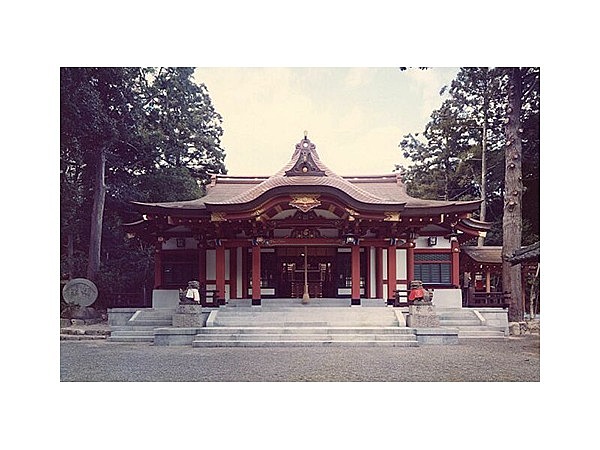 越木岩神社のヒメユズリハ群落