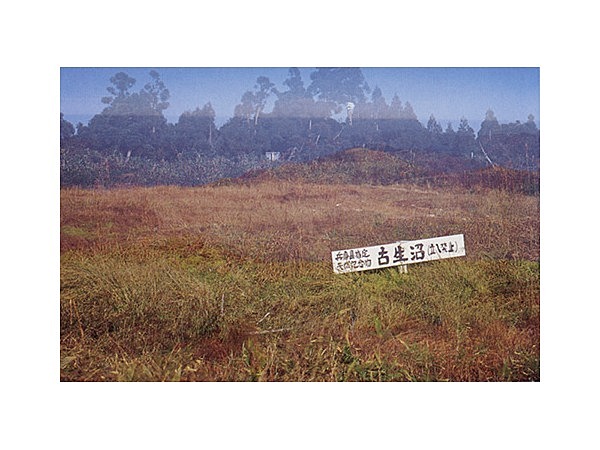 古生沼の高地湿原植物群落