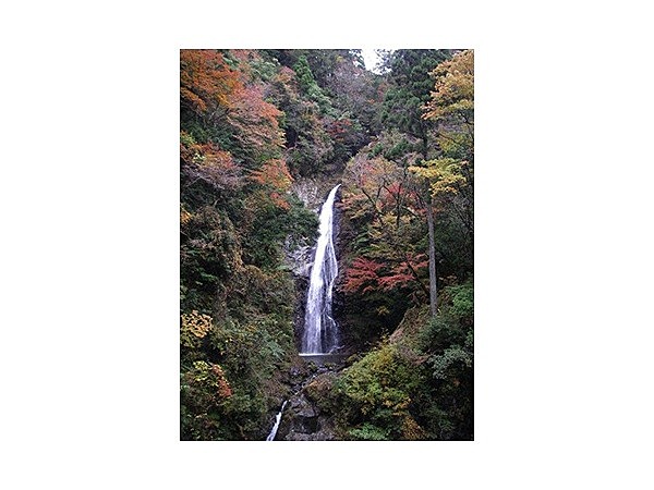 原不動滝の紅葉