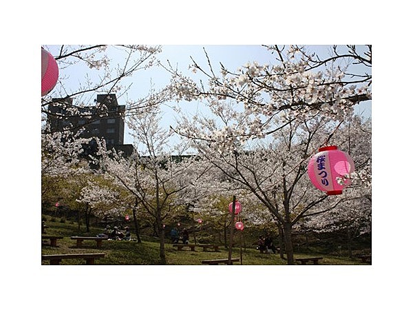 かみごおりさくら園