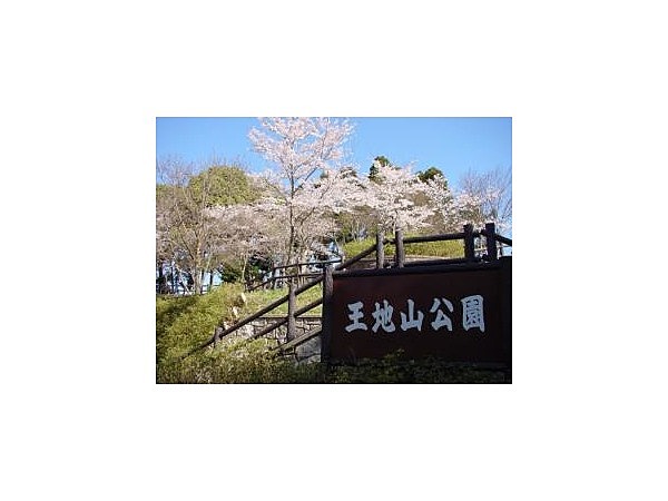 王地山公園の桜