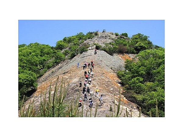 紅山登山コース