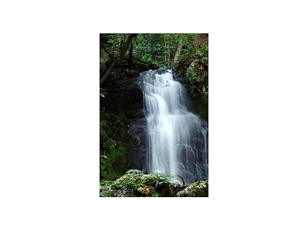 筱見四十八滝ハイキングコース