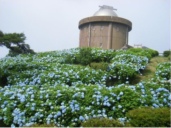 大野アルプスランド