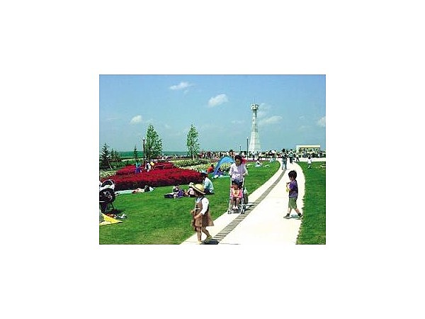 ひまわりの丘公園