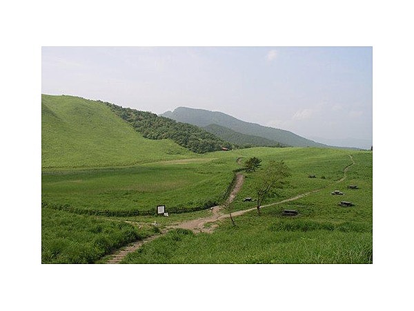 高原大好きコース