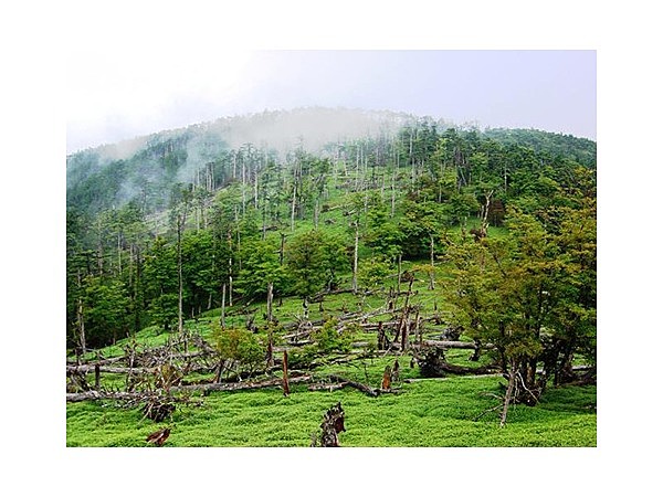 大台ヶ原ハイキングコース
