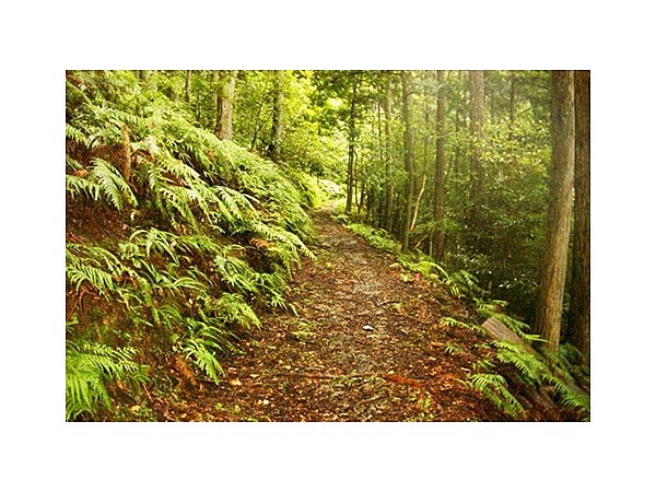 明神池周遊ハイキングコース