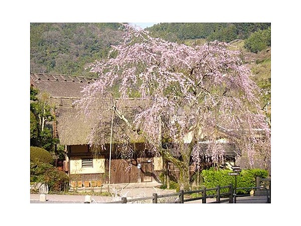 堀家住宅　賀名生皇居跡
