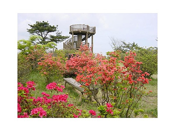 フォレストパーク神野山