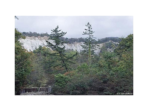 日本キャニオン