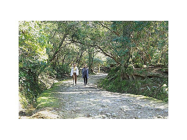 奈良公園のアセビ