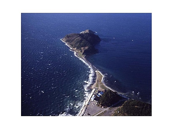 大島キャンプ場