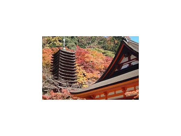 談山神社の紅葉