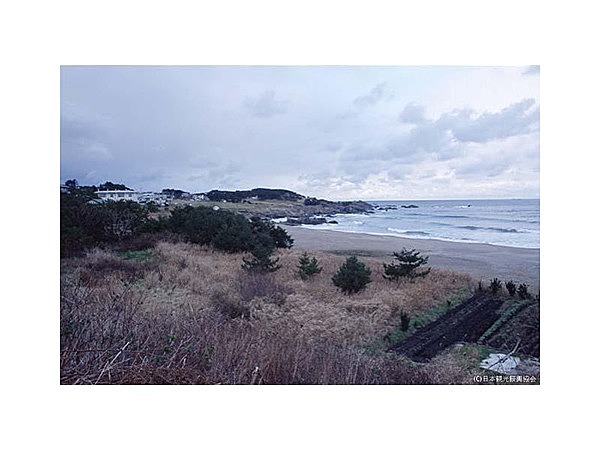 種差天然芝生地