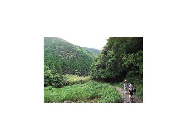 鹿ヶ瀬峠石畳道ハイキングコース