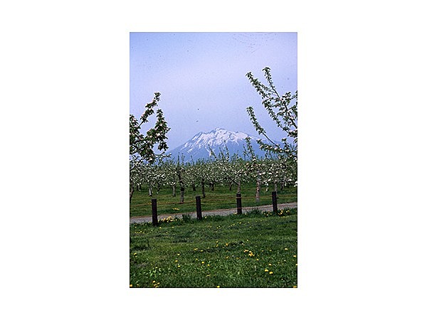 弘前市りんご公園