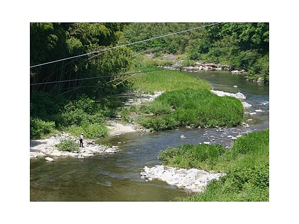 貴志川・真国川