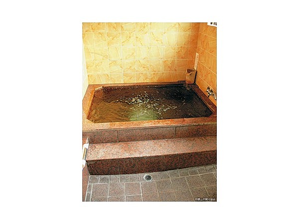 きしだ荘 なめらかの湯