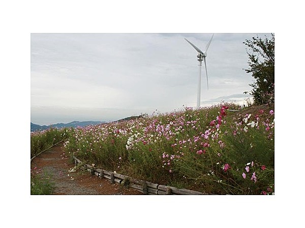 鷲ヶ峰コスモスパーク