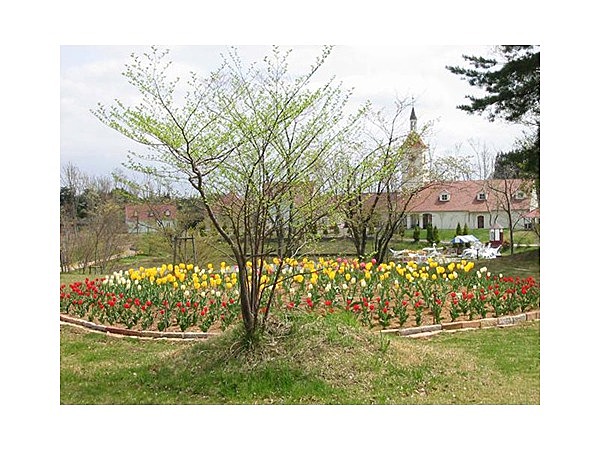 とうほくニュージーランド村