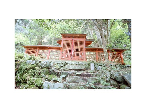 箕六弁財天社社叢