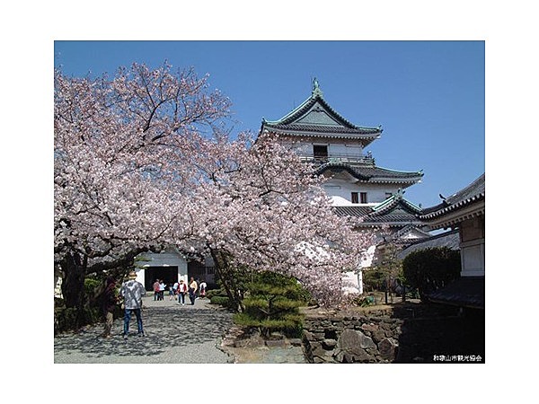 和歌山城の桜