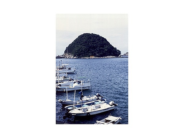 稲積島植物群落