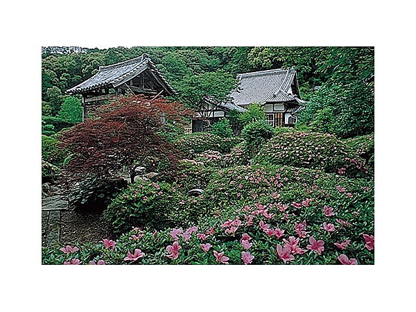 観音寺（さつき寺）