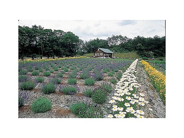 ハーブ園「ハーブデイーズ・アボンリー」