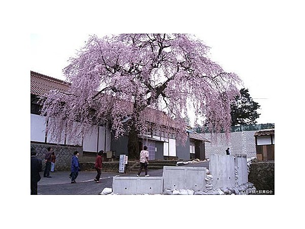 極楽寺(鳥取県)