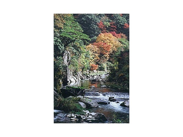 石霞渓のツツジ