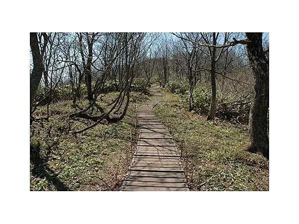 船通山登山コース